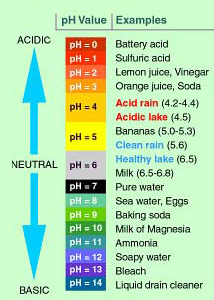 What is the pH of water?